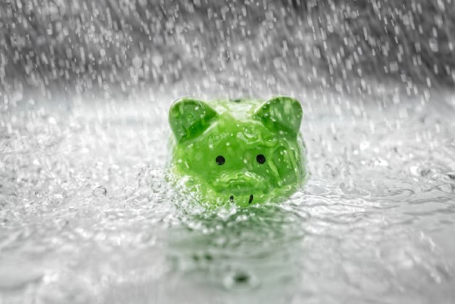 雨に降られる緑色のブタの貯金箱