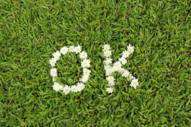 OKと芝生に書かれた文字
