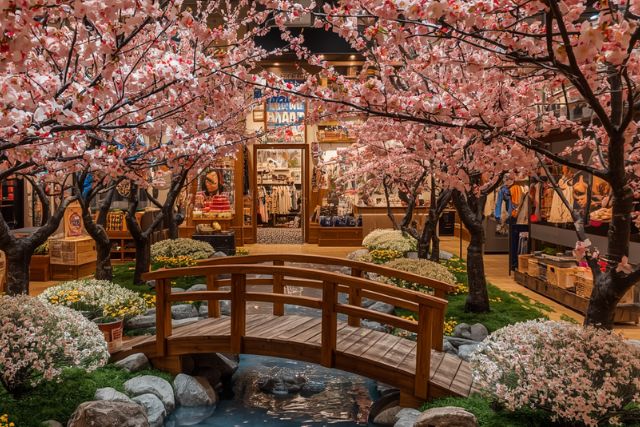 桜と橋のあるお店